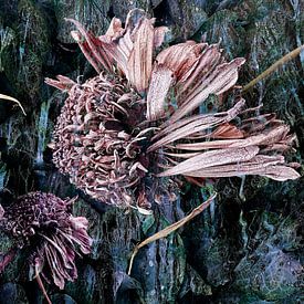 Begegnung von A perfect day studio