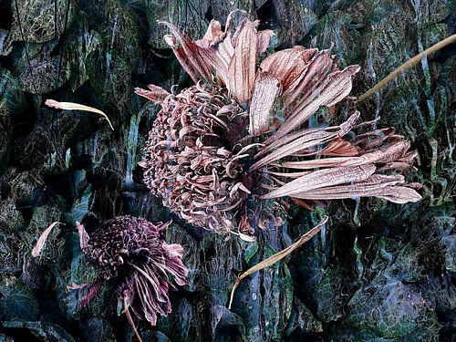 Begegnung von A perfect day studio