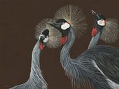 Zuid-Afrikaanse kroonkraanvogels, Balearica regulorum van Helga Pohlen - ThingArt thumbnail