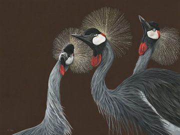 Zuid-Afrikaanse kroonkraanvogels, Balearica regulorum van Helga Pohlen - ThingArt