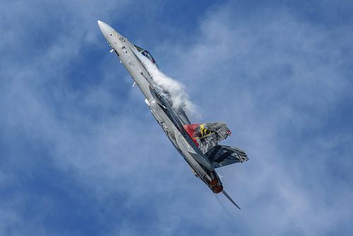 F/A-18 Swiss Hornet Solo Display Team.