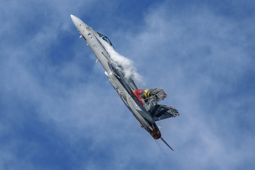 F/A-18 Swiss Hornet Solo Display Team. von Jaap van den Berg