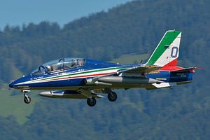 Frecce Tricolori