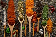 Fragrant and colourful spices and herbs on ladles by Francis Dost thumbnail