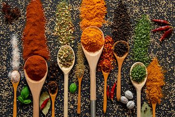 Fragrant and colourful spices and herbs on ladles by Francis Dost