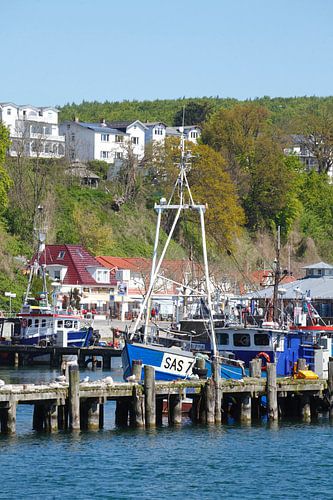 Stadthafen , Sassnitz, Insel Rügen, Mecklenburg-Vorpommern, Deutschland, Europa