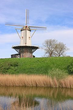 Molen De Koe in Veere van Zeeland op Foto
