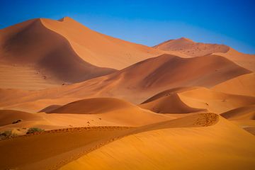 Sossusvlei Namibia by Antwan Janssen