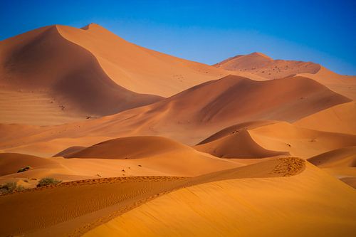 Sossusvlei  Namibië