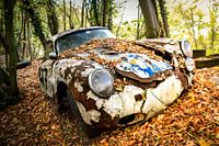 Old beauty