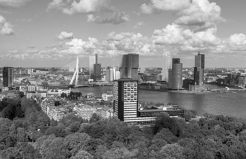 De skyline van Rotterdam