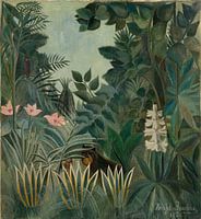 Jungle équatoriale