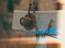 Detail 7 by Miriam Meijer, en pleine campagne.....