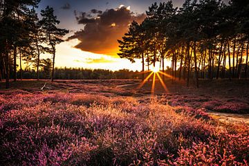 Zonsondergang op de heide van Marco Rutten