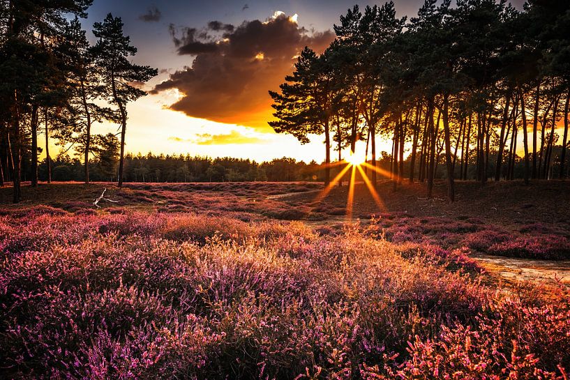 Coucher de soleil sur les landes par Marco Rutten