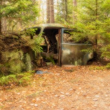 Autowrack (Käfer) im Wald von Ryd, Schweden von Connie de Graaf
