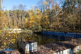 Leap into the unknown