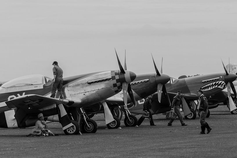 North American P51D&#039;s  on the Airfield van Robbert De Reus