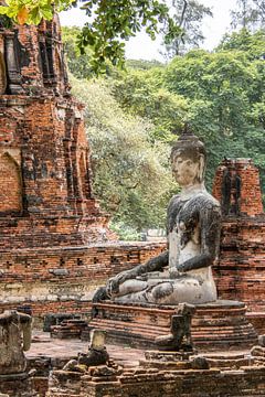 Wat Phra Mahathat, Ayyuthaya (Thailand) van Femke Ketelaar