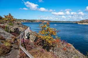 Blick auf die Insel Dyrön in Schweden
