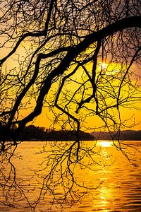 Baldeneysee in Essen Sonnenuntergang am See mit Silhouette eines Astes mit Zweigen im Gegenlicht