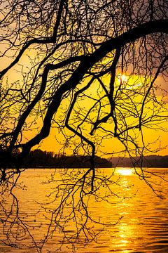 Baldeneysee in Essen sunset at the lake with silhouette of a branch with twigs against the light by Dieter Walther