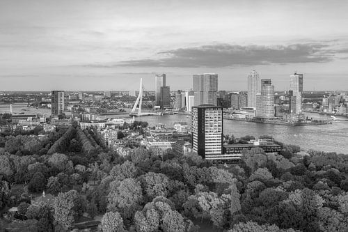 Abendsonne in Rotterdam schwarz-weiß