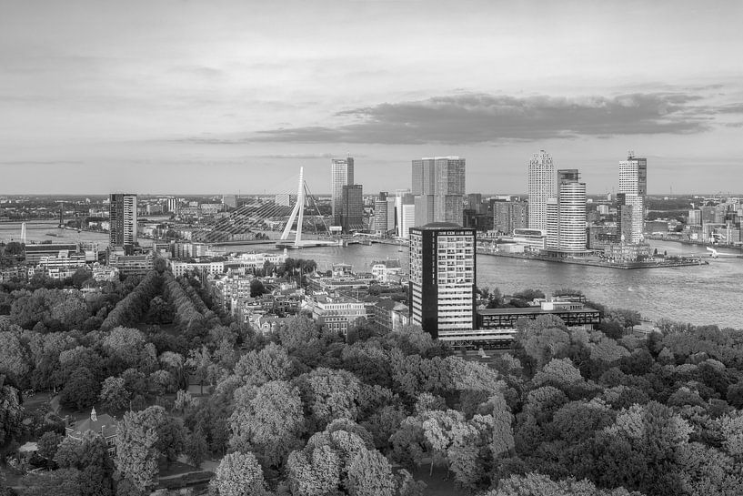 Evening sun in Rotterdam black and white by Michael Valjak