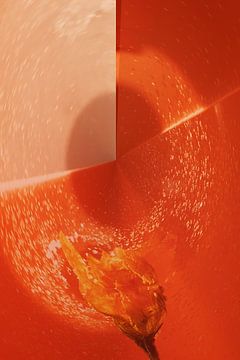 Abstract orange by Jeanet Francke