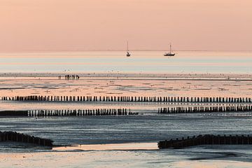 Rêveur au bord de la mer des Wadden