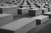 Holocaustmonument by Ellen van Schravendijk thumbnail