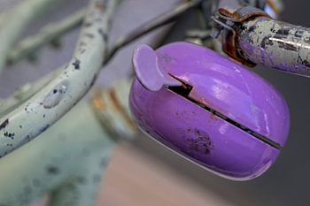 purple bicyclebell