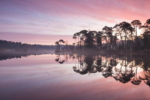 Oisterwijkse Vennen in pastel
