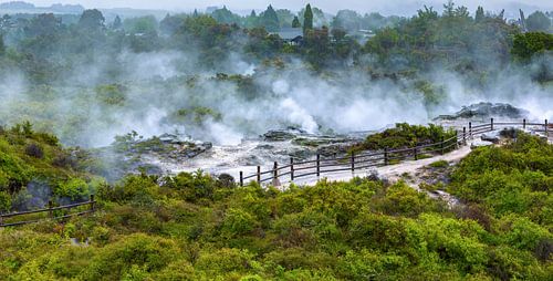 Te Puia thermaal park