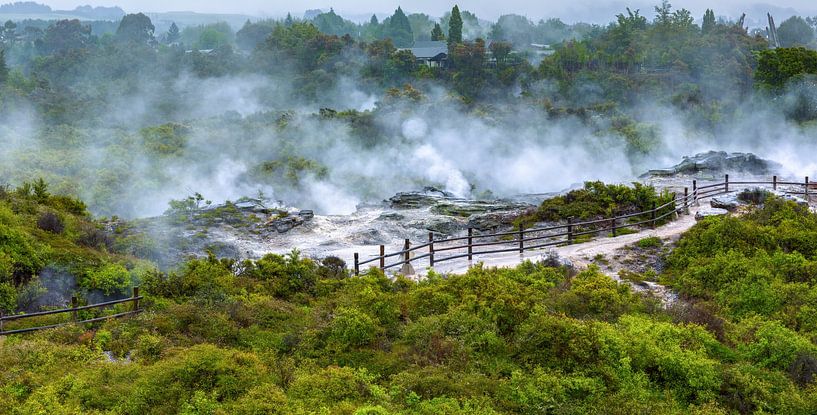 Thermalpark Te Puia von Yevgen Belich