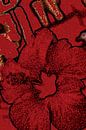 Hibiscus City by GeeeDeeeBeee thumbnail