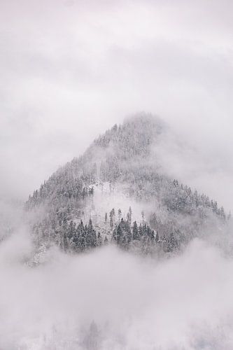 Mountains in the mist