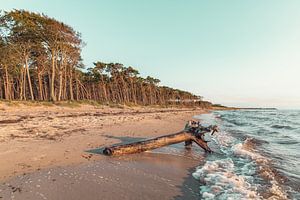 Abendlich am Weststrand