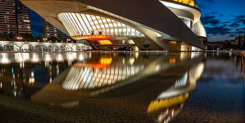 Palau de les Arts Valencia von Stefan Havadi-Nagy