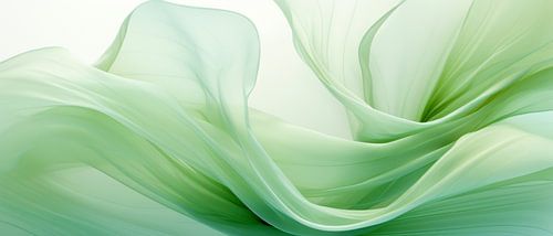 Bloemendans Botanica