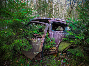 Voiture rouillée et abandonnée dans les bois