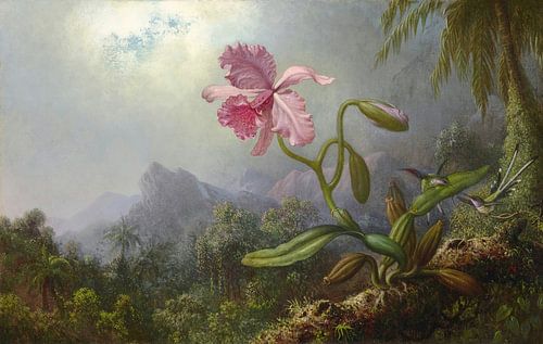 Twee kolibries met een orchidee, Martin Johnson Heade