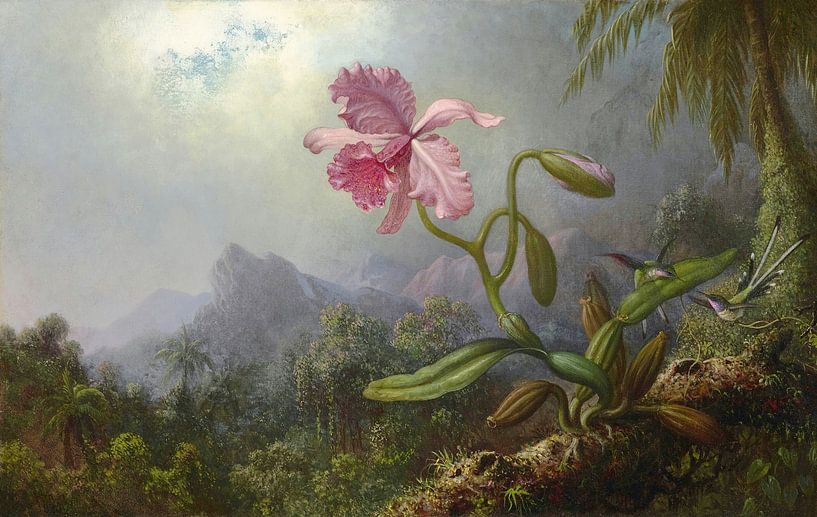 Deux colibris avec une orchidée, Martin Johnson Heade par Des maîtres magistraux
