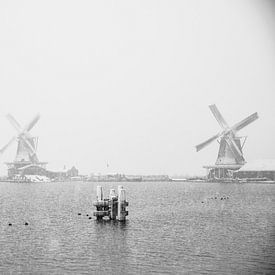 Le long des rives du Zaan se trouvent les moulins sur Zaankanteropavontuur