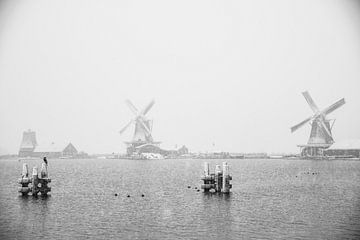 An den Ufern der Zaan befinden sich die Mühlen von Zaankanteropavontuur