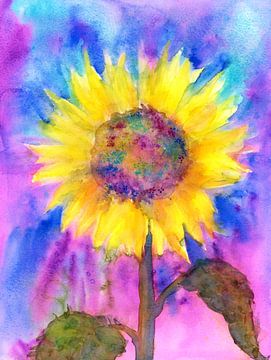 Rainbow Sunflower Watercolour Painting by Karen Kaspar