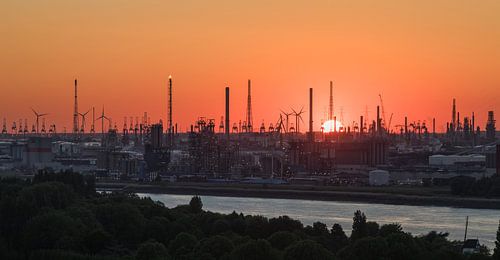 De zonsondergang in de haven van Antwerpen