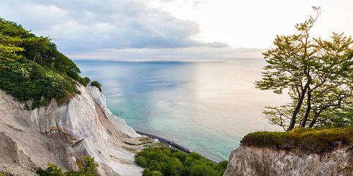 Møns Klint op het eiland Møn in Denemarken van Werner Dieterich