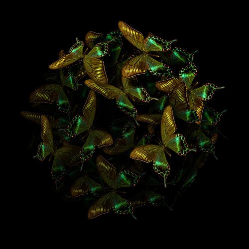 Morphogenetisch: Grün I