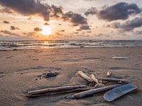 Shells in the sand at the beach of Sankt Peter-Ording
